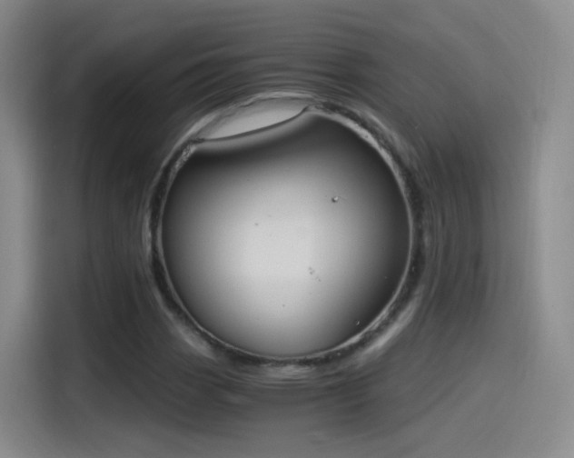X0000115281113200911061322