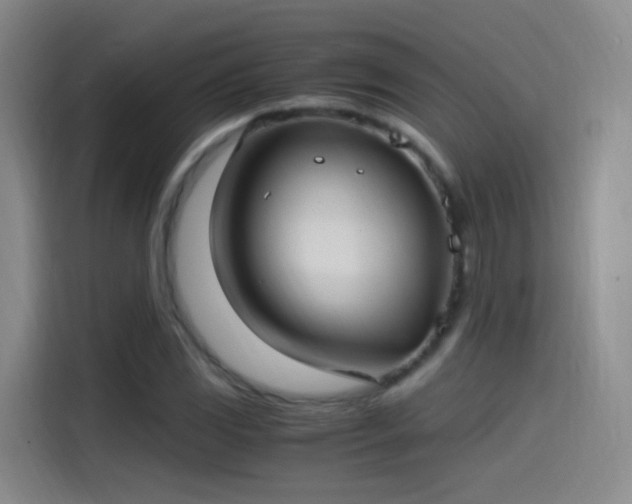 X0000115281117200911061322