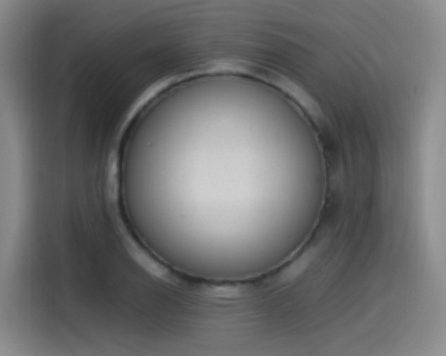 X0000115281126200911061322