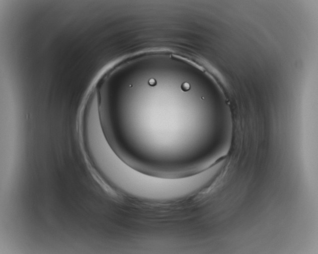 X0000115281127200911061322