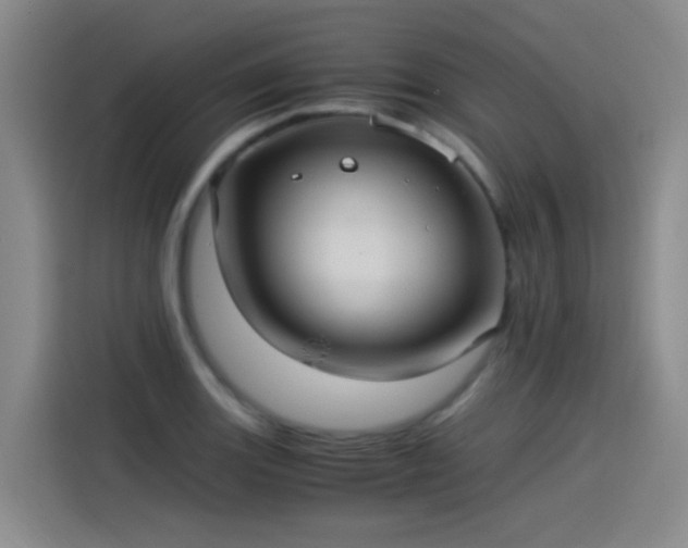 X0000115281131200911061322