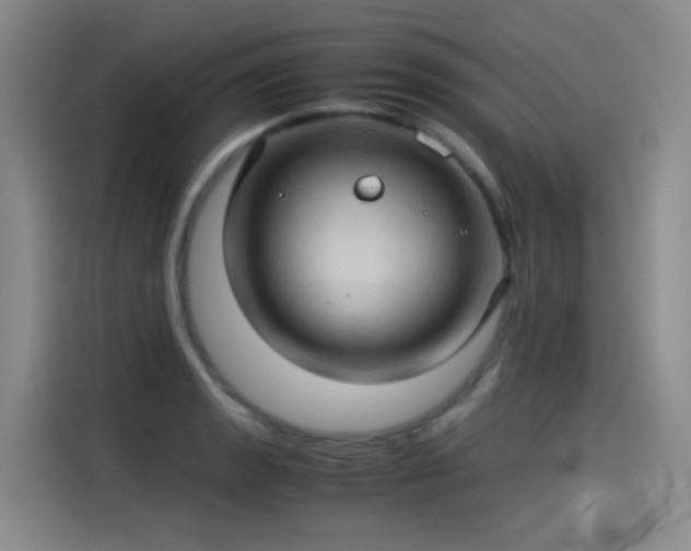 X0000115281133200911061322