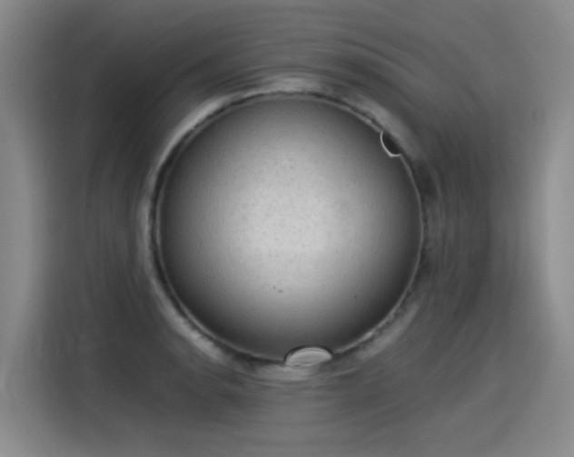 X0000115281134200911061322