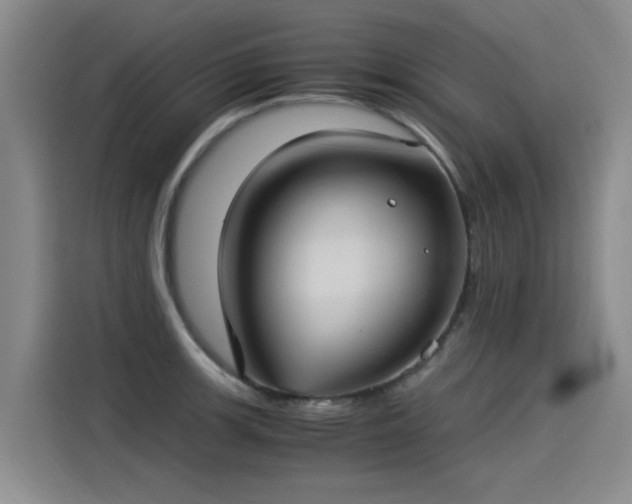 X0000115281139200911061322