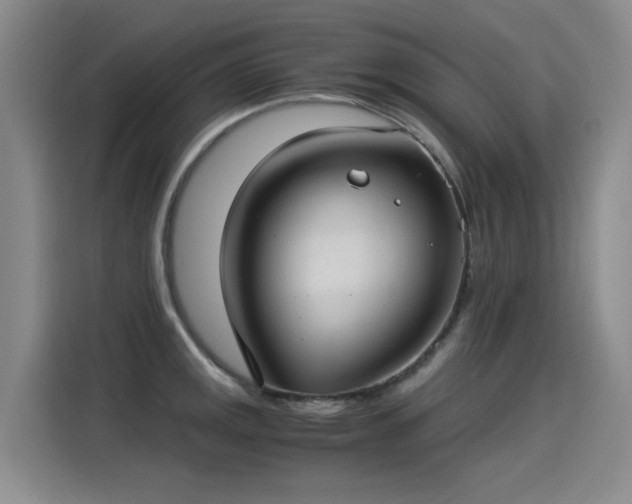 X0000115281141200911061322