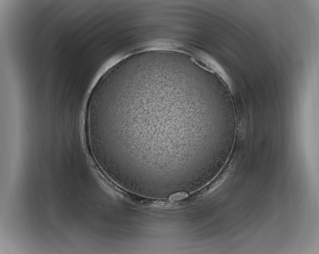 X0000115281146200911061323