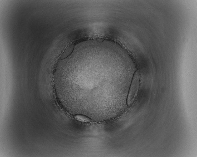 X0000115281153200911061322