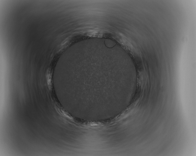 X0000115281154200911061322