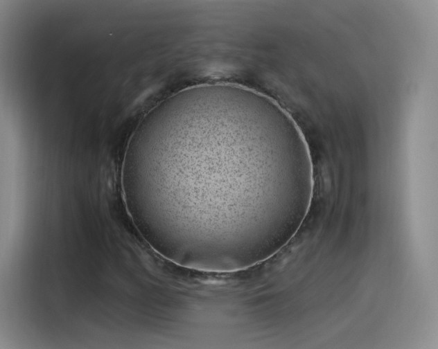 X0000115281158200911061322