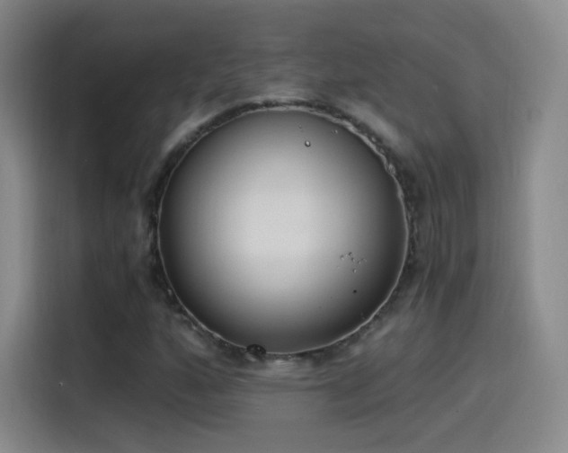X0000115281160200911061322