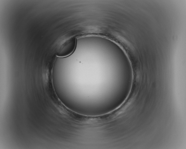 X0000115281161200911061322