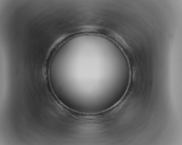 X0000115281164200911061322