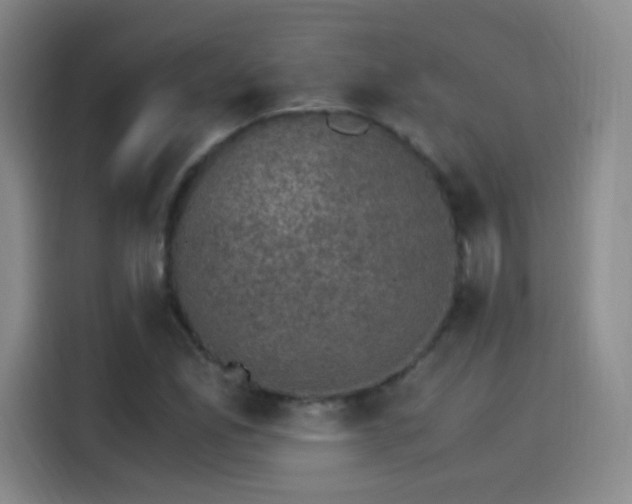 X0000115281165200911061322