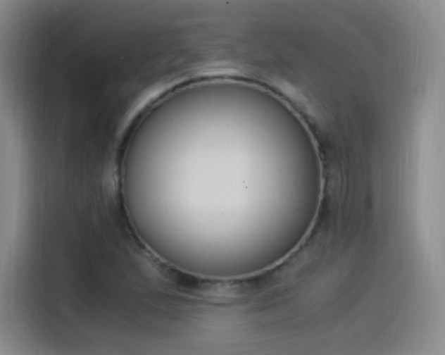 X0000115281167200911061322