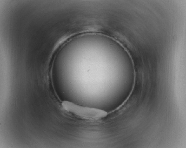 X0000115281168200911061322