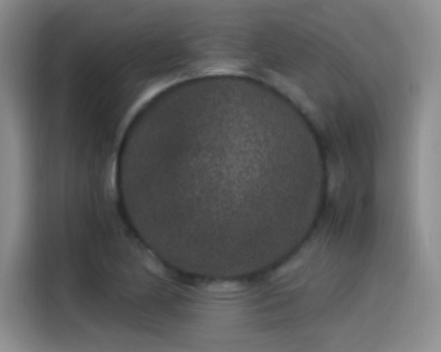X0000115281174200911061322