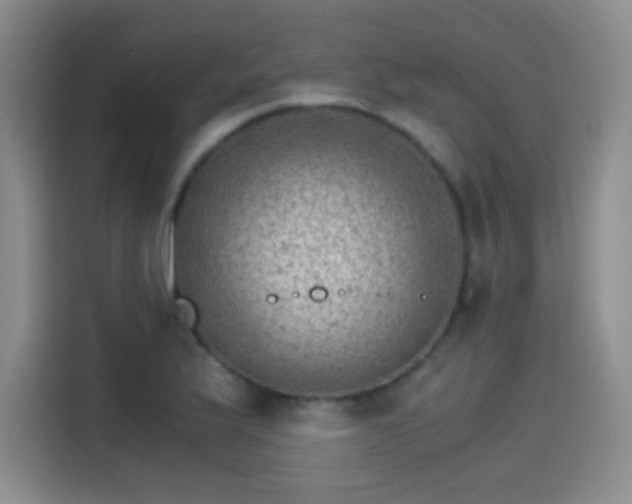 X0000115281175200911061322