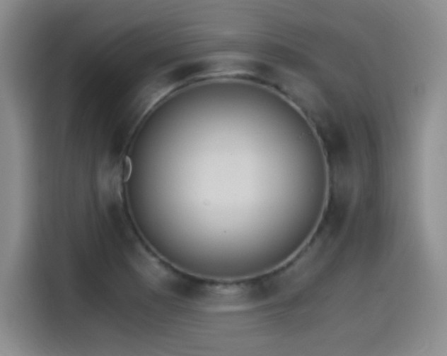 X0000115281177200911061322