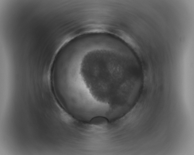 X0000115281181200911061322