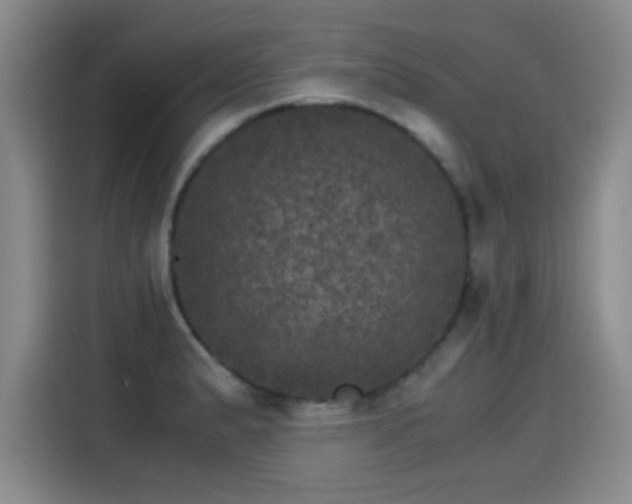 X0000115281183200911061322