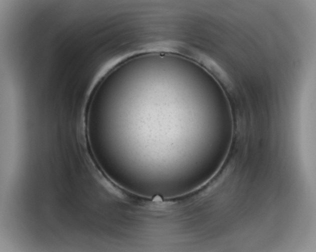 X0000115281184200911061322
