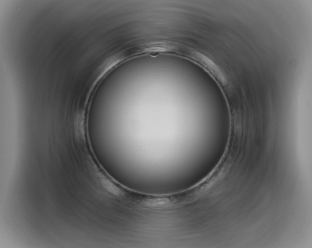 X0000115281186200911061322