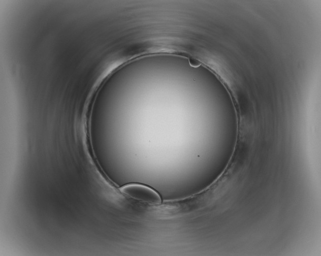 X0000115281187200911061322