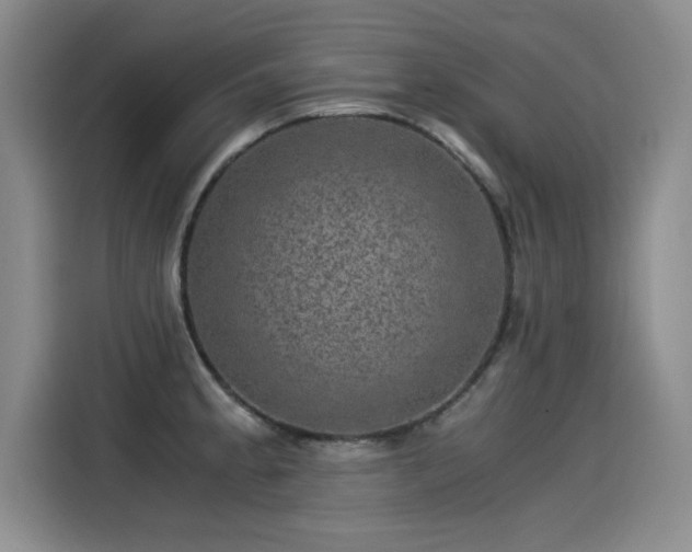 X0000115281189200911061322