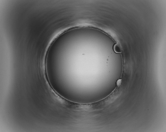 X0000115281191200911061321