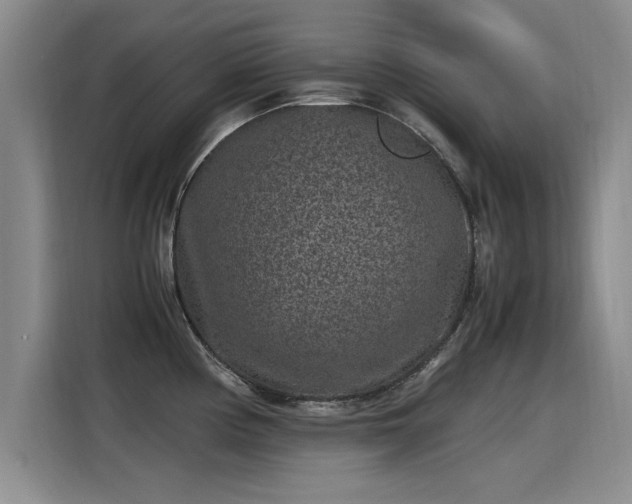 X0000115281194200911061321
