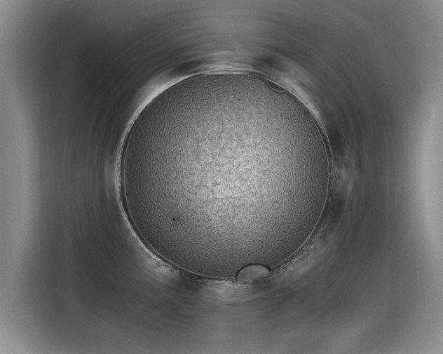 X0000115281195200911061321