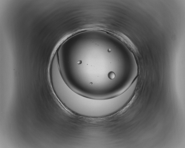 X0000115281196200911061321