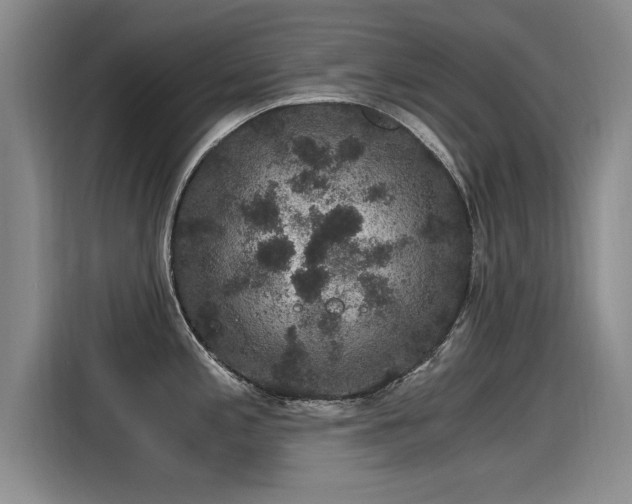 X0000115281197200911061321
