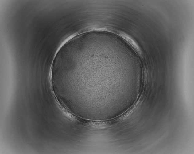 X0000115281198200911061321