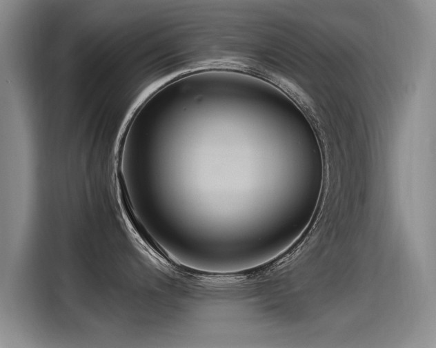 X0000115281200200911061321