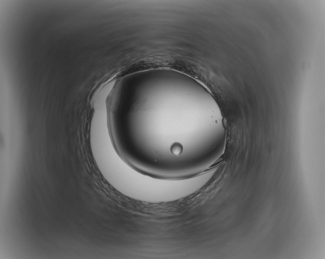 X0000115281201200911061321