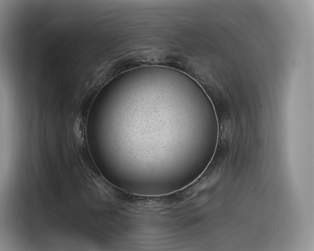 X0000115281202200911061321