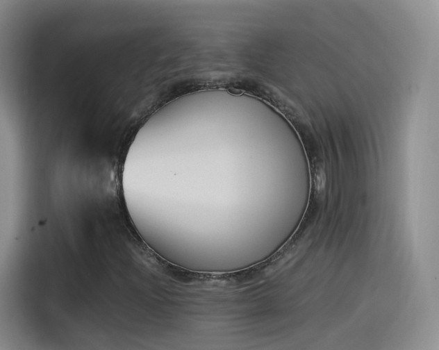 X0000115281204200911061321