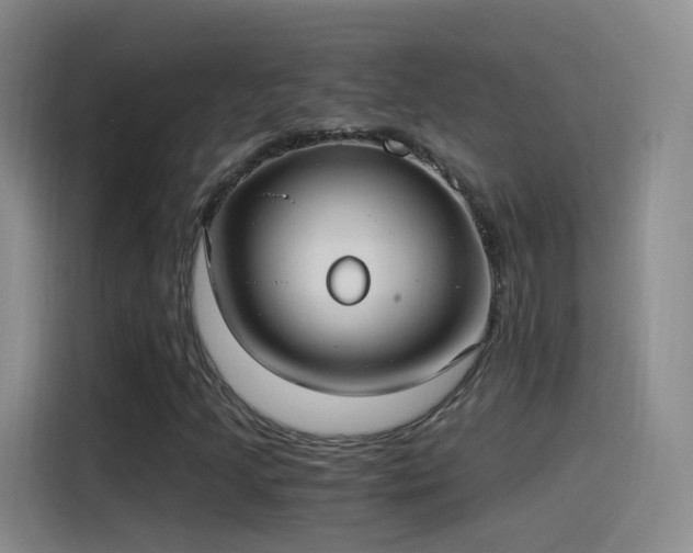 X0000115281205200911061321