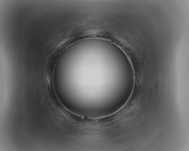 X0000115281206200911061321