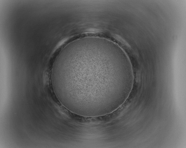 X0000115281208200911061321