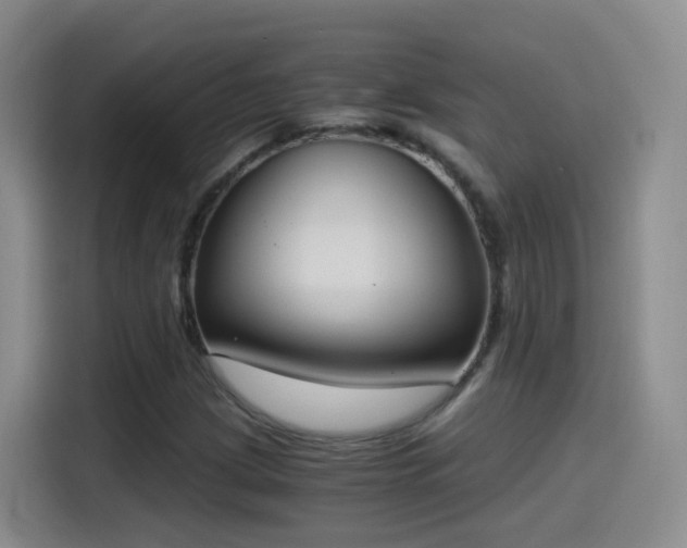 X0000115281209200911061321