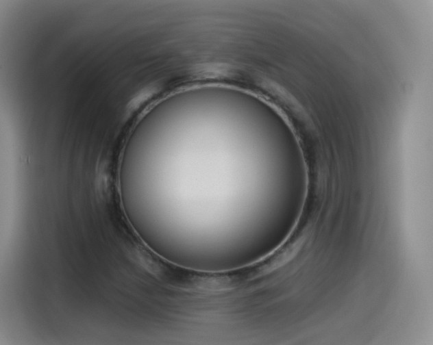 X0000115281210200911061321