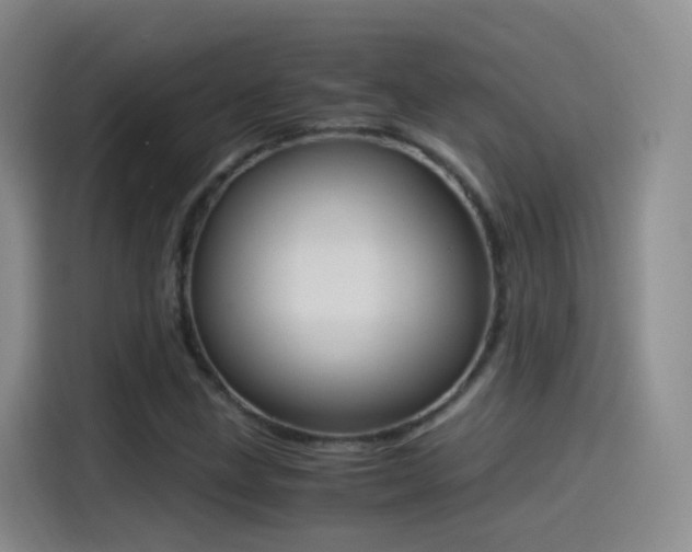 X0000115281211200911061321