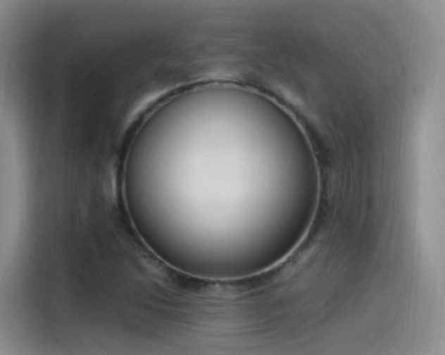 X0000115281214200911061321