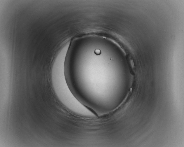 X0000115281217200911061321