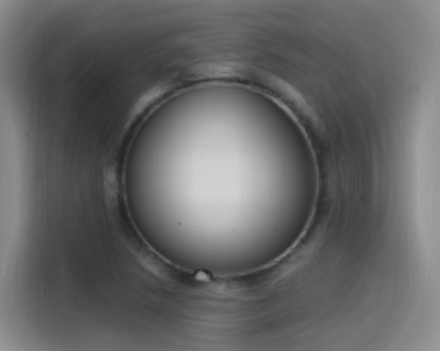 X0000115281218200911061321