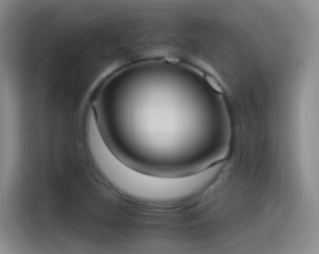 X0000115281219200911061321