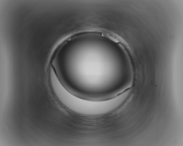 X0000115281223200911061321