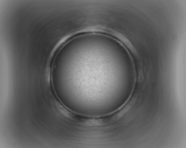 X0000115281224200911061321